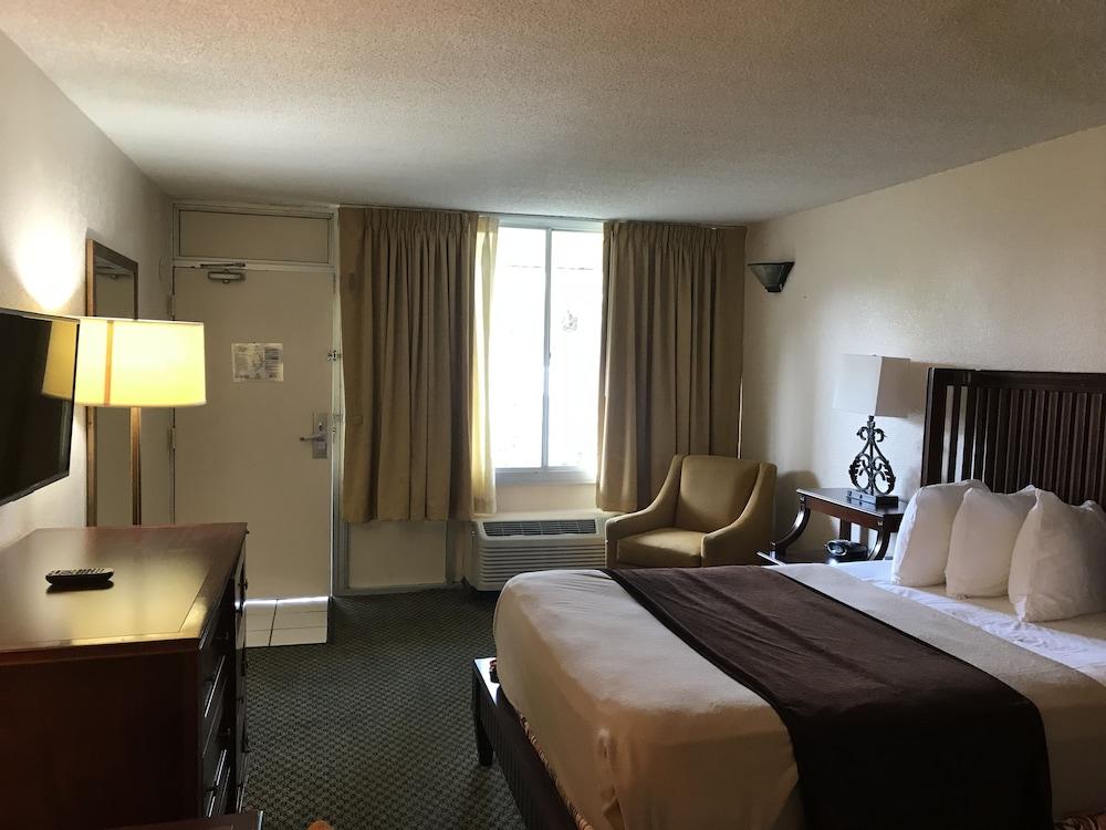 Lake Magdalene Quality Inn Tampa מראה חיצוני תמונה