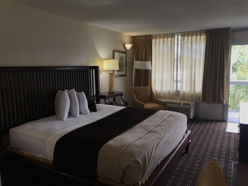 Lake Magdalene Quality Inn Tampa מראה חיצוני תמונה