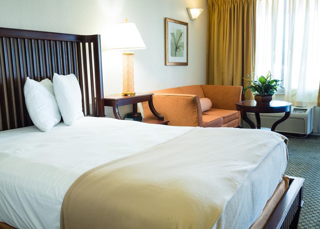 Lake Magdalene Quality Inn Tampa מראה חיצוני תמונה