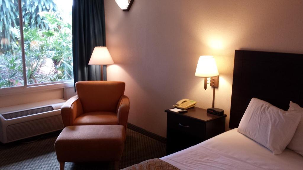 Lake Magdalene Quality Inn Tampa חדר תמונה